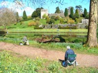 Sue Paton's Art Classes