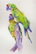 Two Parrots watercolour painting by Jane Duke