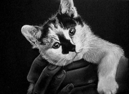 Tiny Tim