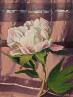 White Peony