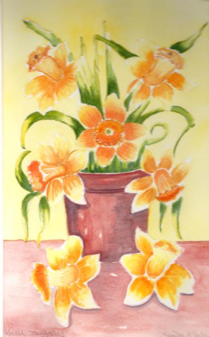 Welsh daffodils (Sandra Stephens}