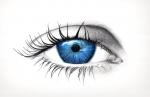 Blue Iris