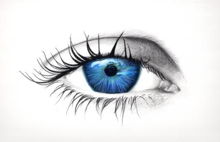 Blue Iris