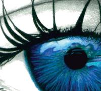 Blue Iris