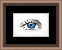 Blue Iris
