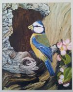 Blue Tit in an Apple Tree