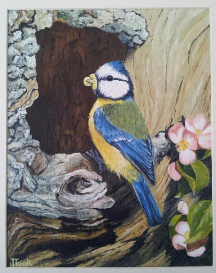 Blue Tit in an Apple Tree