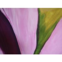 Cyclamen1