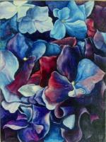 Hydrangea