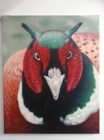 Pheasant 
