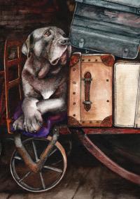 Homeward Bound