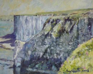 Scale Nab, Bempton Cliffs