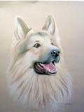 king pastel drawing