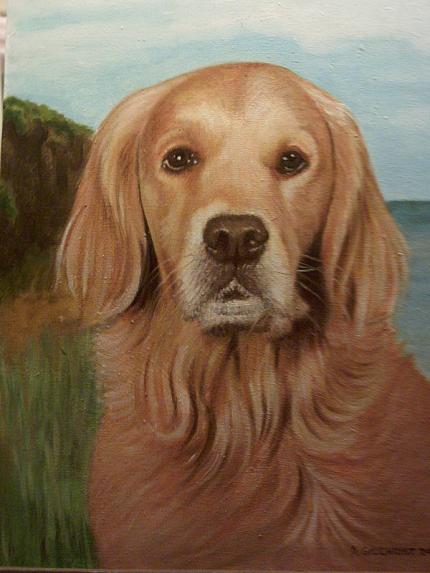 pet dog
