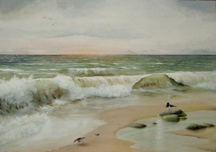 Waders on the Moray Shore