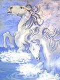 Wild Horses