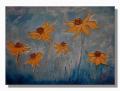 Daisies
