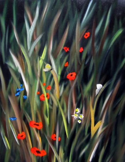 Poppies and Grasses