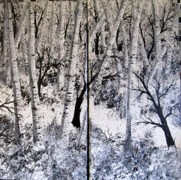 Birch Trees
