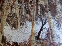 Brown Birches