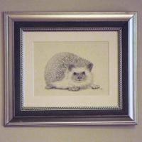 Hedgehog - pencil drawing