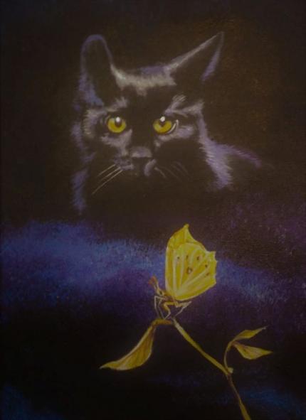 Black Cat & Yellow Butterfly