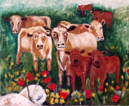 Cows graze happy in the poppy field