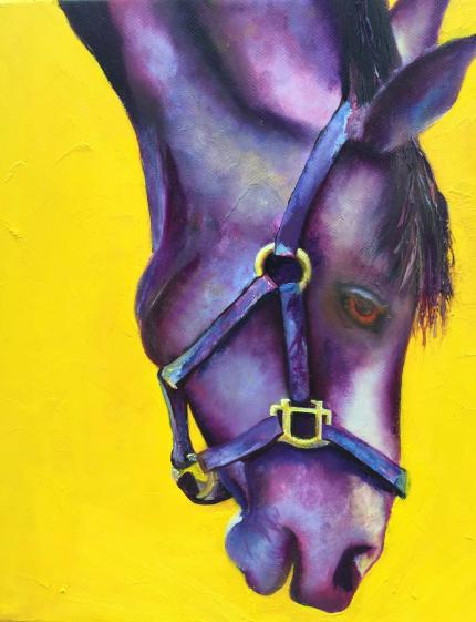 Horse In Purple And Yellow