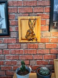 Hartley Hare