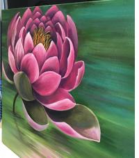 Pink Lotus 