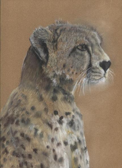 Cheetah in the Serengeti.