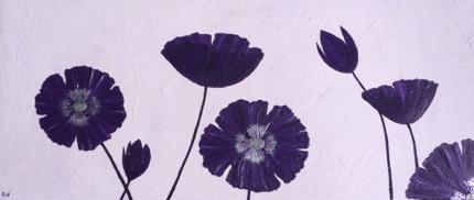 Purple Poppies