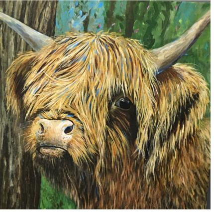 Highland cow