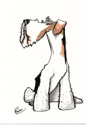  A Terrier