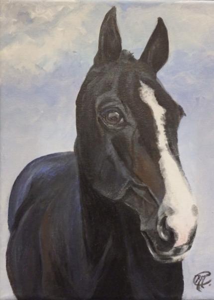 Commissioned horse portrait