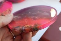 beach style resin coasters, table protectors, unique gifts c34