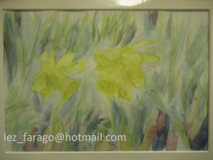 Daffodils and shade
