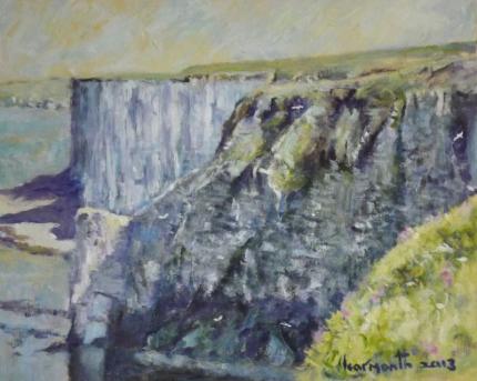Scale Nab, Bempton Cliffs